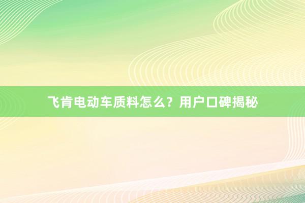 飞肯电动车质料怎么？用户口碑揭秘